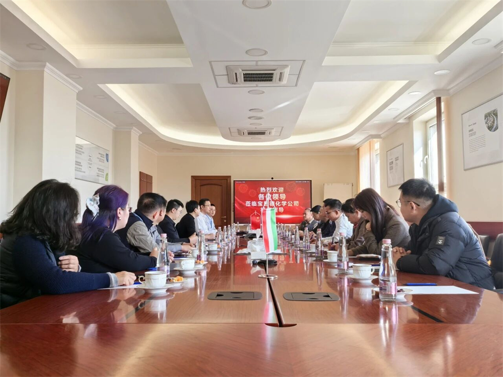 智仑新材亮相JEC World 2025，深耕欧洲市场，共拓全球合作新机遇